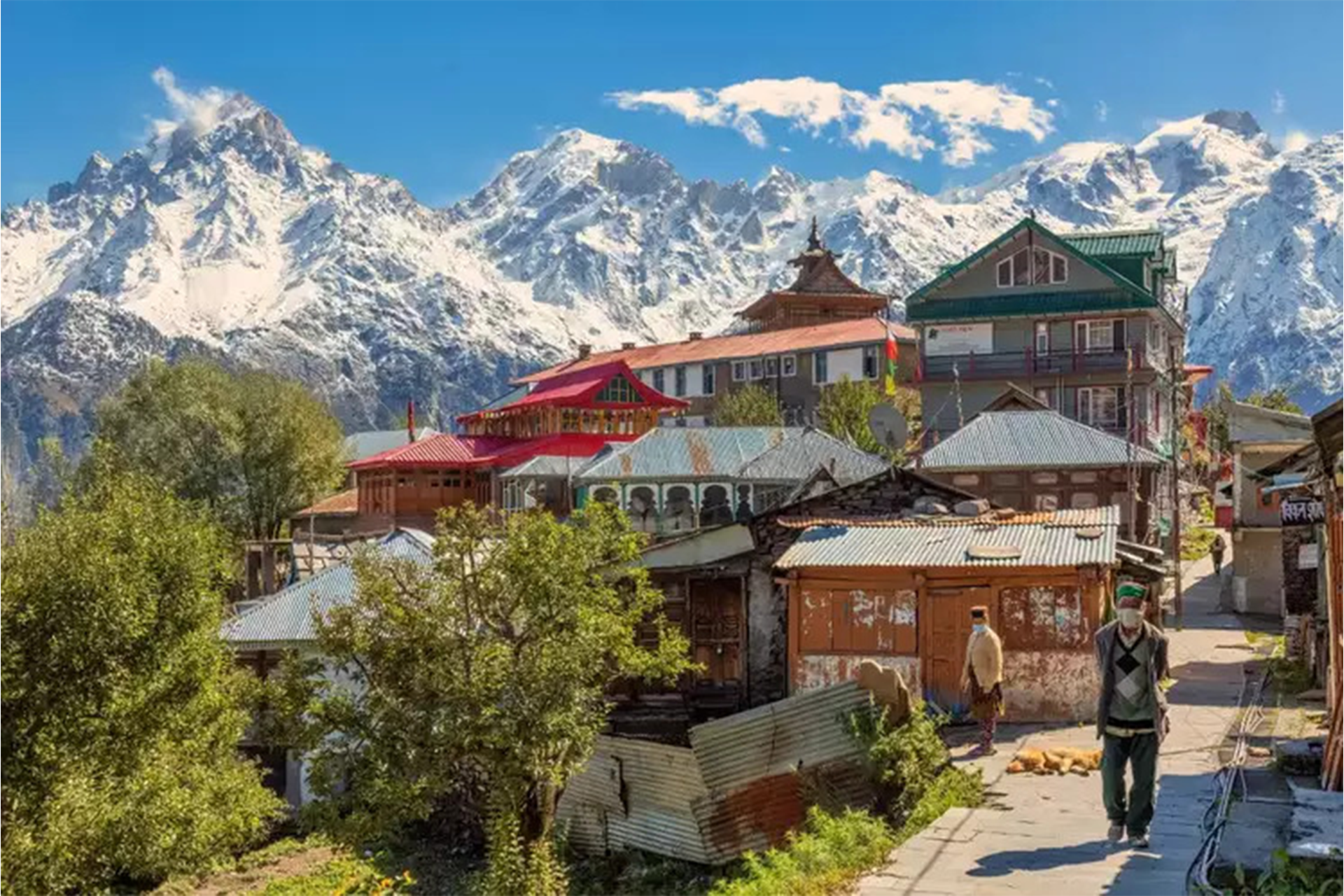 Escape into Romance: Unveiling the Shimla-Manali Honeymoon Tour